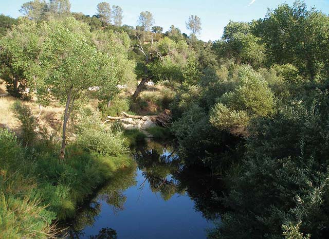 Salinas River in San Luis Obispo County