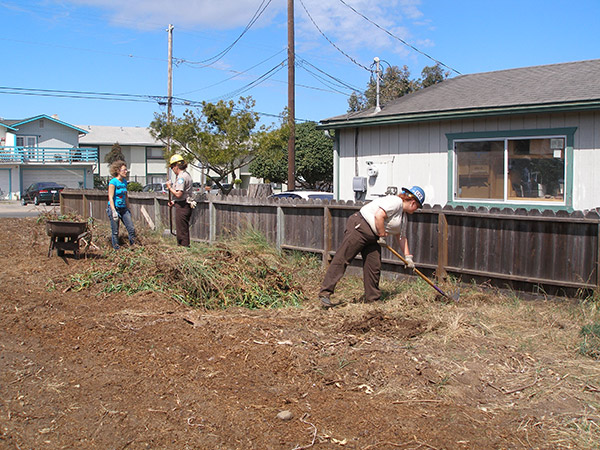 Clearing the Ecologistics Blue C Community Garden