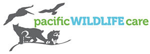 Pacific_Wildlife_Care_logo_small