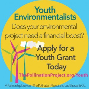 The Pollination Project - Youth Grants Flyer