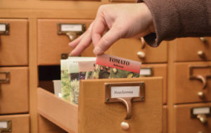 Card Catalog with Seed Packets