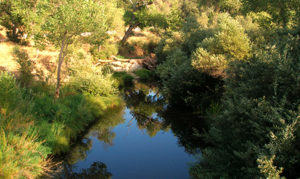 Salinas River