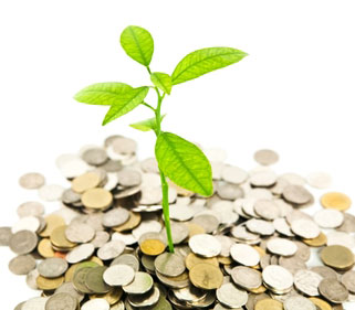Green seedling growing out of a pile of coins.