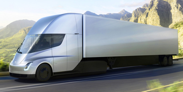 California Condor in Flight